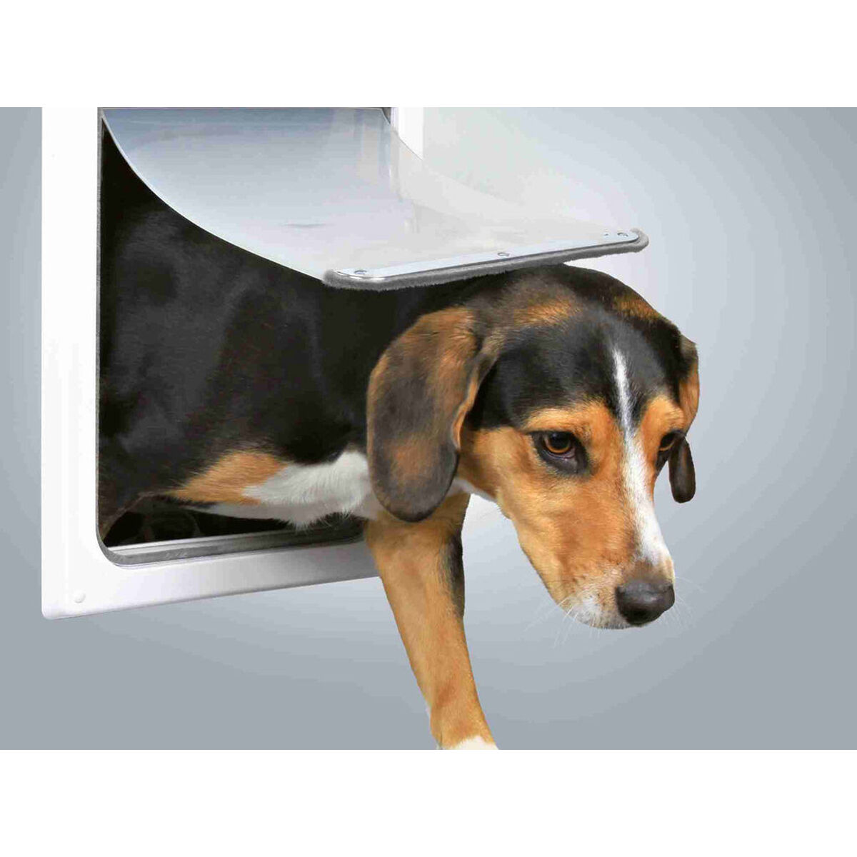 Katteurt Trixie Hvid Plastik 30 × 36 CM